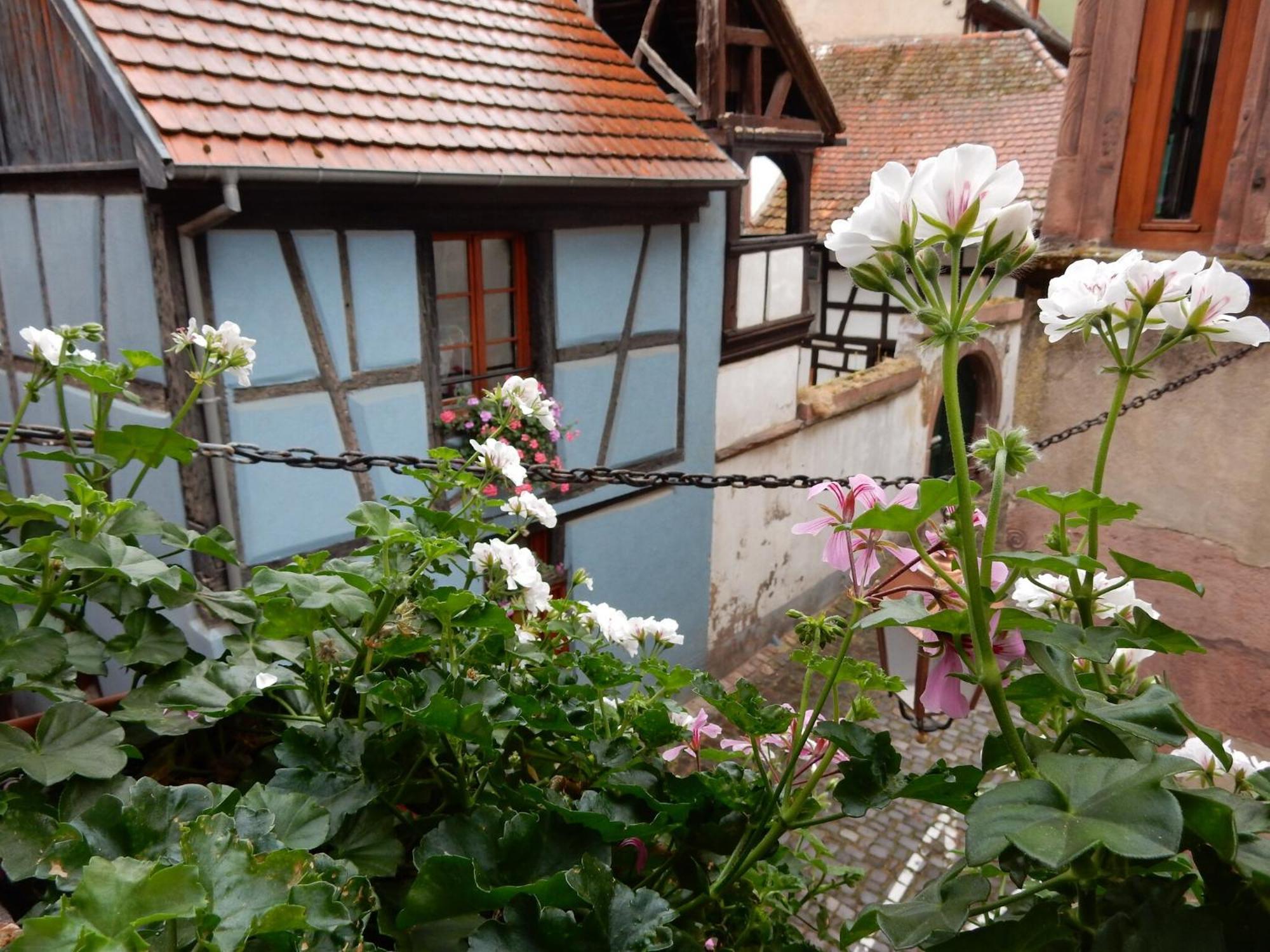 An Apartment In A 17Th Century Wine Grower S House Riquewihr Eksteriør billede