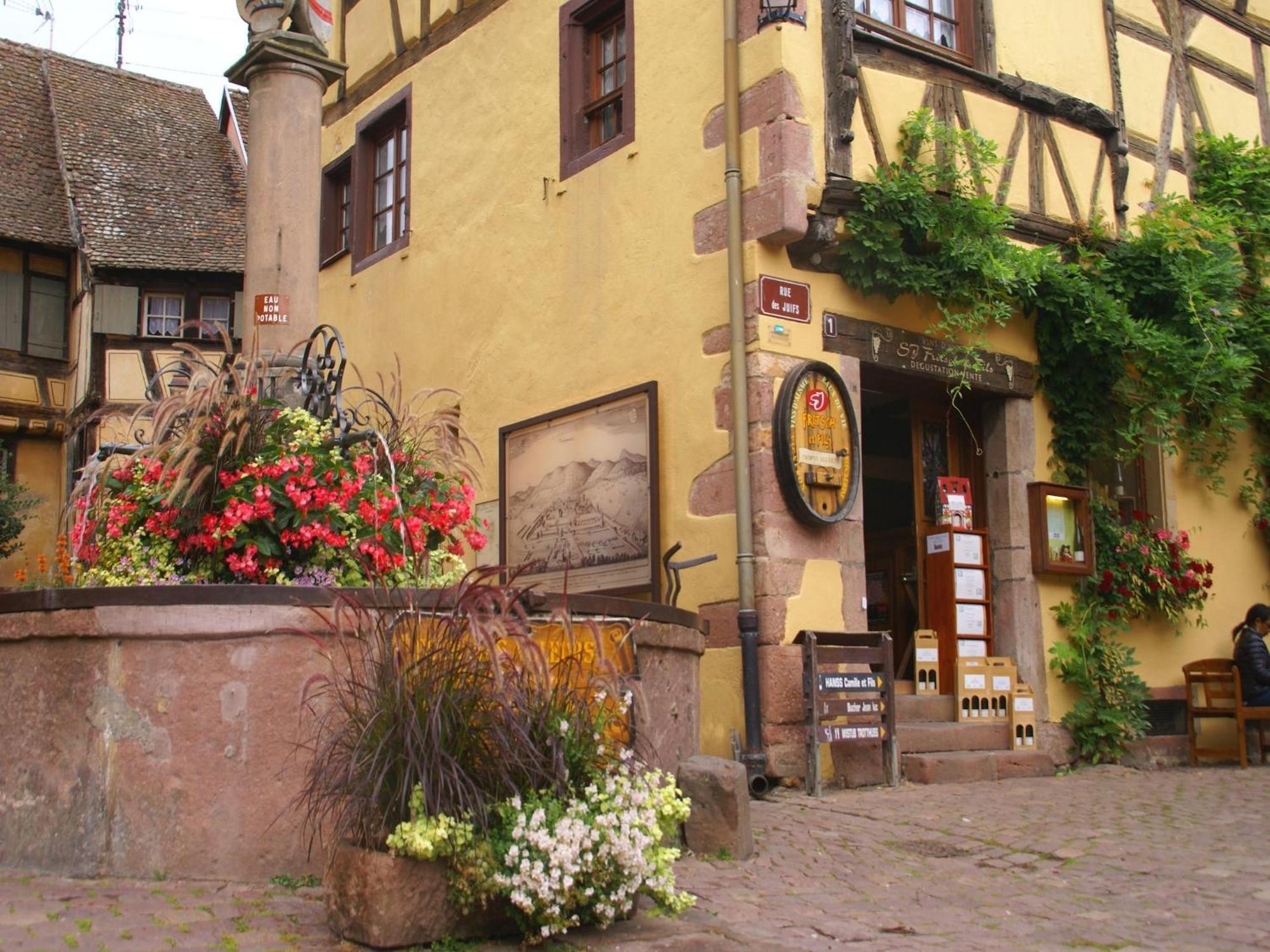 An Apartment In A 17Th Century Wine Grower S House Riquewihr Eksteriør billede