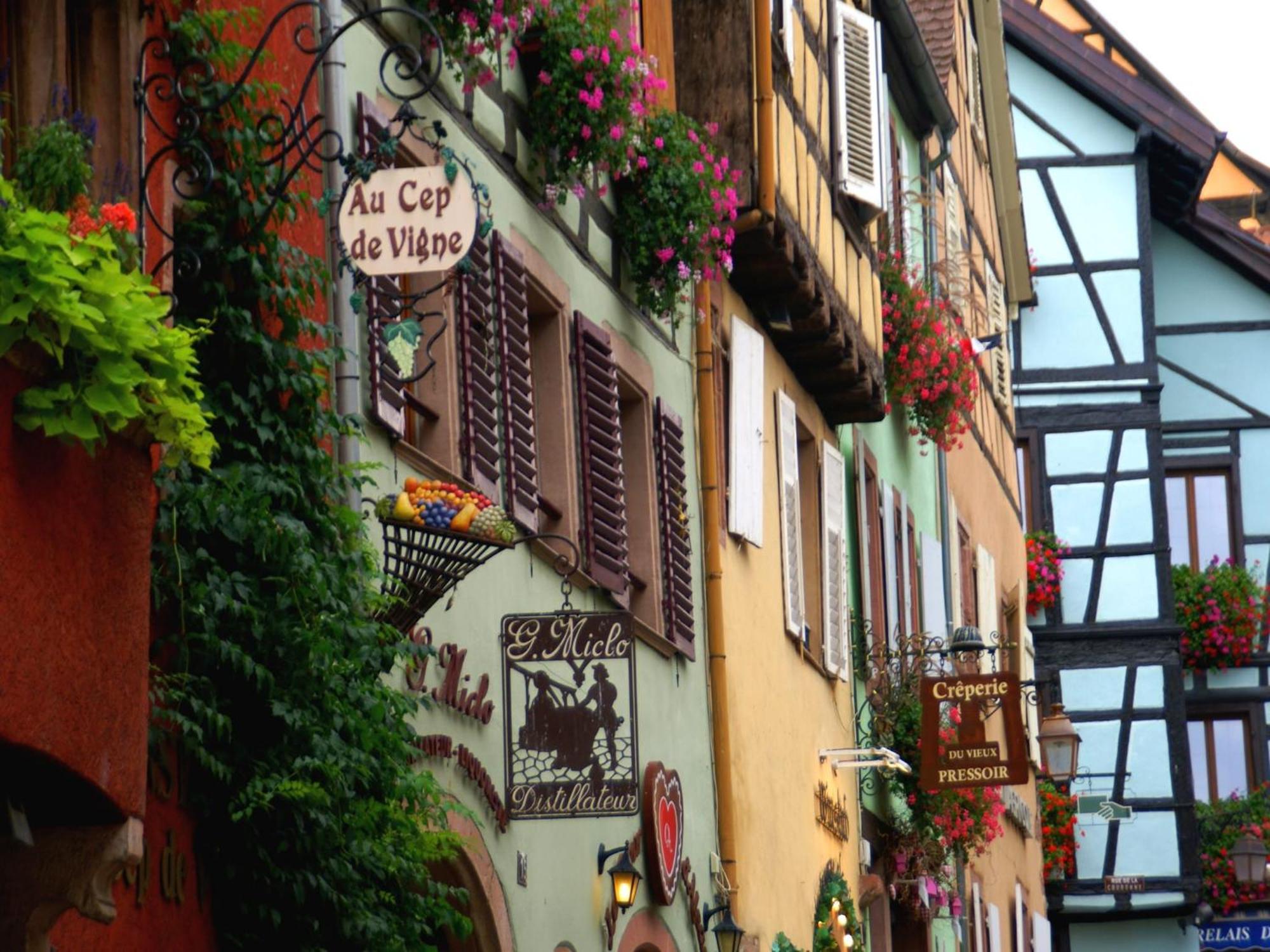 An Apartment In A 17Th Century Wine Grower S House Riquewihr Eksteriør billede